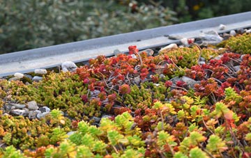 the cost of Hailstone Hill green roof installation