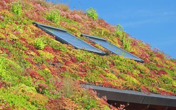 Hailstone Hill living roof systems